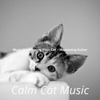 Soulful Training Your Cat - Calm Cat Music