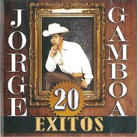 Al Mismo Nivel - Jorge Gamboa