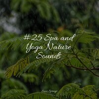 Babbling Brook - Deep Horizon Waves & Nature Sounds for Sleep and Relaxation & Nature Sounds for Relaxation and Sleep