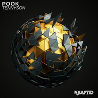 There She Goes - Pook
