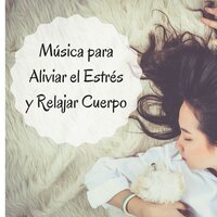 Autoindagación - Emociones Positivas Maestro