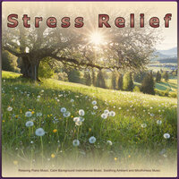 Relaxing Background Music - Stress Relief Experience & Calm Music Guru & Relaxing music