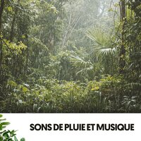 Harmonie in der Stille - Dog Relaxation & Rain Sounds ACE & Sons De La Nature