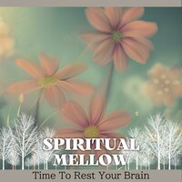 Serenade of the Calm Seas - Spiritual Mellow