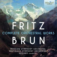VIII. Largo - Paul Sacher & Adrian Aeschbacher & Collegium Musicum Zurich