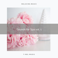 Goodness of Mother Earth and Spa Cicadas pt. 2 - Spa Music Hour