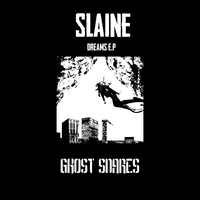 Dreams - Slaine