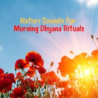 Yoga Meditation Connection - Relaxing Distraction Therapy Zone