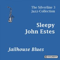 Clean up at Home - Sleepy John Estes