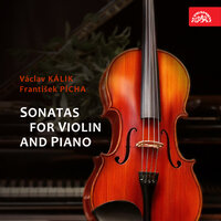 Intermezzo for Violin and Piano - Václav Snítil & Zorka Zichová - Lochmanová