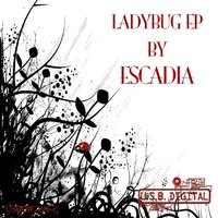 Ladybug - Escadia