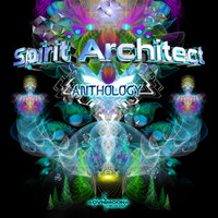 Reshaping Reality - Spirit Architect