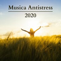 Come le piume nell'aria - Musica Zen Guru