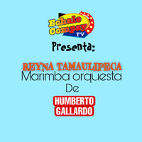 La Guitarra y la Mujer - Reyna Tamaulipeca Marimba Orquesta De Humberto Gallardo & Trio Huasteco Hidalguense & Nelson Kanzela