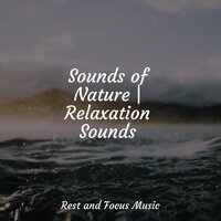 Quiet Dreaming - Rising Higher Meditation & Sleep Meditation Dream Catcher & Massage Music