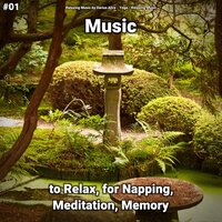 Relaxing Music Part 45 - Relaxing Music by Darius Alire & Yoga & Relaxing music