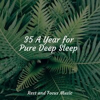 Relax Everywhere - Asian Zen: Spa Music Meditation & Musica Reiki & Entspannungsmusik