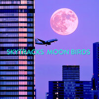 Perfect World - Skytracks