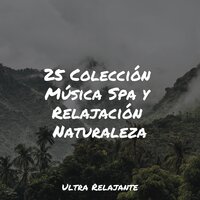 Causes Casuales - Lluvia & Masaje Tantrico Musica Colección & Canciones Para Niños