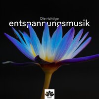 Meditation Oase - Klaviermusik Solist & This Fall & Klaviermusik Solist & This Fall
