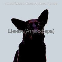 Музыка (Фоновая Музыка) - Спокойная собака Музыка Ритмы