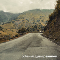 Реквием - Собачьи души