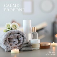 Rêveries Douces - Sérénité Musique Spa