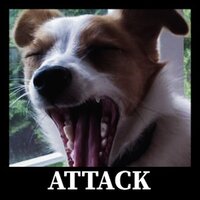 Attack - Lisa & Sander