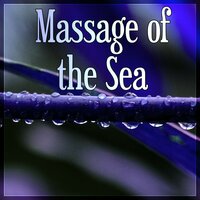 Spa Dreams - Sea Tranquility Academy