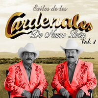 Mi Viejo - Cardenales de Nuevo Leon