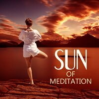 Ocean of Emotions - Healthy Mind Yoga