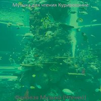 Настроения (Обучение) - Музыка для чтения Курирование