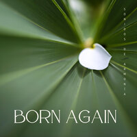Born Againg - Sonidos de Armonía