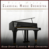 Minuet in Eb - Beethoven - Classical Piano - Classical Study Music - Exam Study Classical Music Orchestra & Study Playlist & Classical Piano