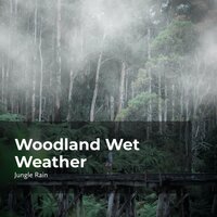 Jungle Tropical Rain - Nature and Rain & Deep Rain Sampling & Jungle Rain