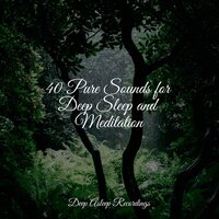 Morning Meditation Melody - Spa & Sleep Baby Sleep & Asian Zen Spa Music Meditation