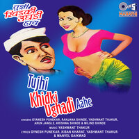Tujhi Khidki Ughadi Hay - Milind Shinde