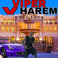 Money Spasm - Viper The Rapper