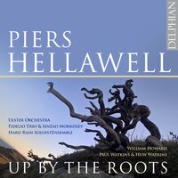 Wild Flow for orchestra: IV. Molto veloce, leggierissimo - Ulster Orchestra & Paul Watkins