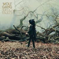 Breaks in Paris - Wolf Gang