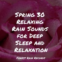 Waves by the Rocks - Brown Noise & Spa Relaxation & Sonidos De La Naturaleza