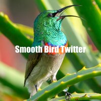 Wealthy Bird Song - Nature Bird Sounds