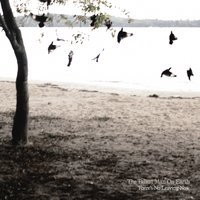 Wind and Walls - The Tallest Man On Earth