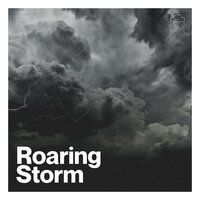 In the Core of Rain - Nature Calm