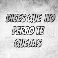 Dices Que No Perro Te Quedas - Tomi rd