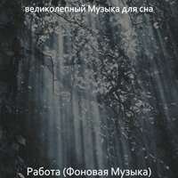 Настроения (Фокус) - великолепный Музыка для сна