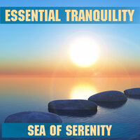 Blissful Ocean - Essential Band