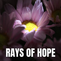Reactions - Heal Today