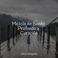 Vacío De Estrés - Relajante Musica & Natureza Musica Bem-Estar Academia & Yoga Para Ninos