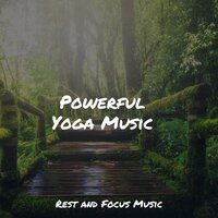 Gentle Nights - Namaste Yoga & Relaxed Minds & Academia de Música con Sonidos de la Naturaleza